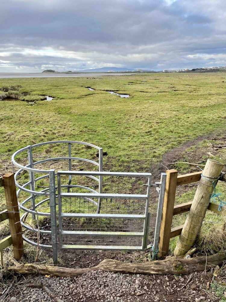 ゲートは自らの重みで自動的に閉まる。