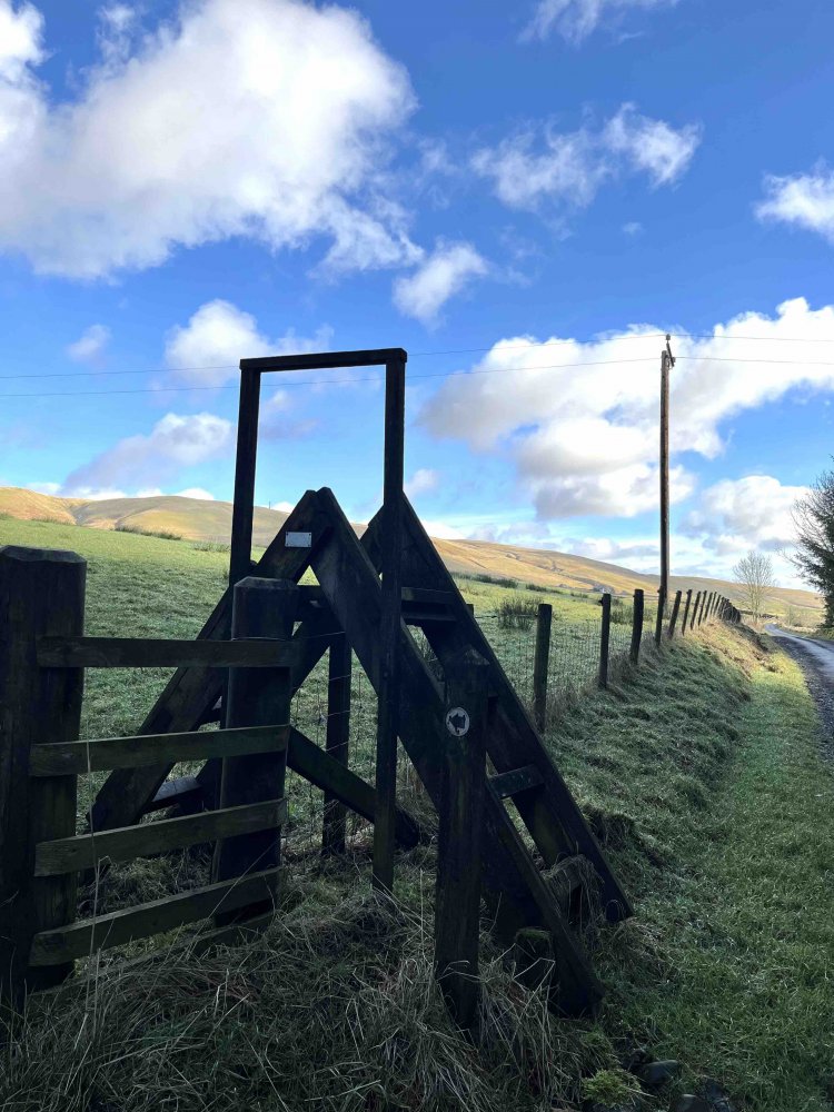 しっかりめの階段バージョン。丁寧に矢印がついていることも。