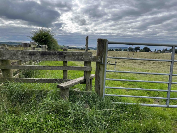 簡易乗り越え台バージョン。