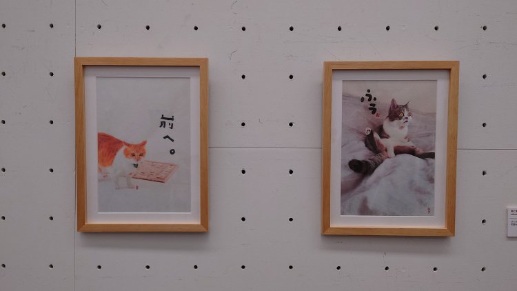 「静と動」のりこ