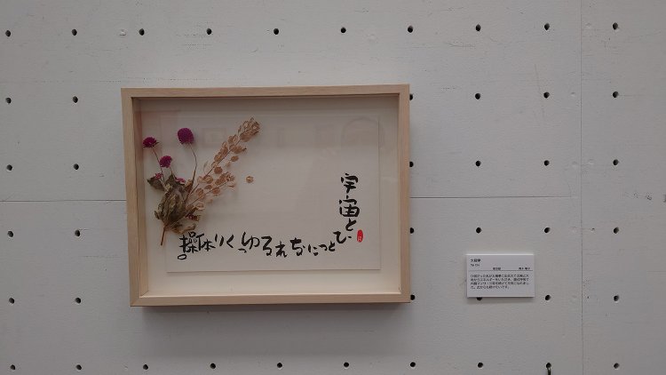 「太極拳」青木晴子