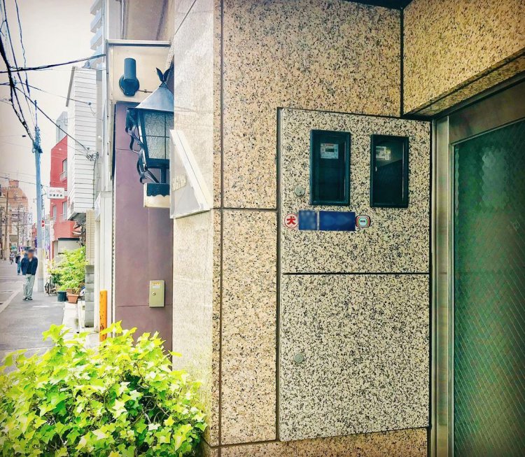 壁と同化した「お忍びタイプ」。