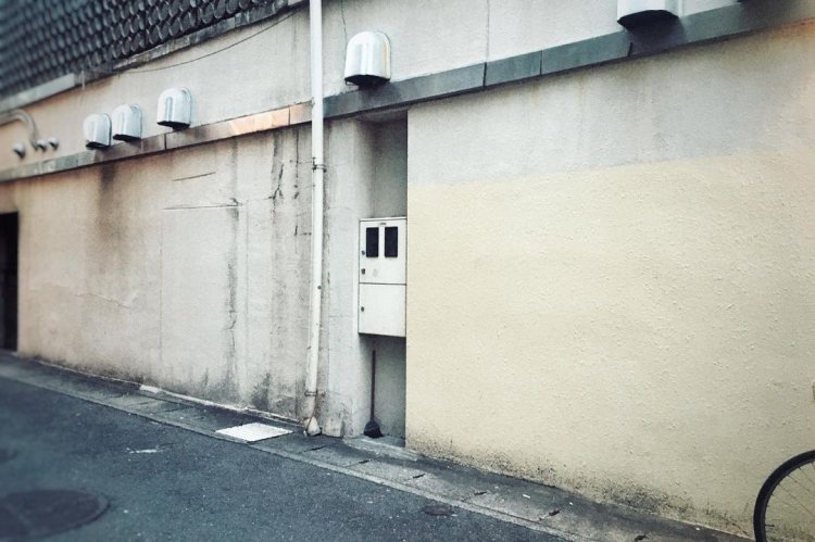 壁の隙間に潜む「お友達」。