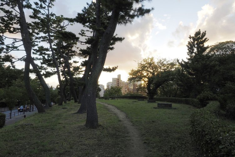 土手の上を歩いていると、ほどなくちょっとした広場に出る。そこに点々と並んでいるベンチのような物体。