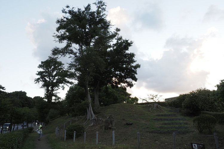 夕刻迫るとき、地面が闇に包まれていく。少々分かりづらいが、こんもりとした土手のような土塁のようなものが目の前に現れる。