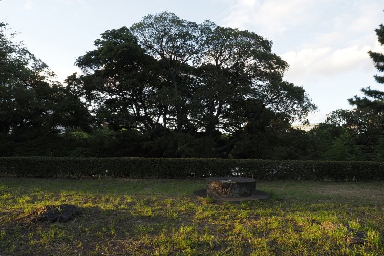 夕焼けに染まって輝く台座。現在は公園となっているが、戦時中は陣地が組まれて物々しい状態だったはず。