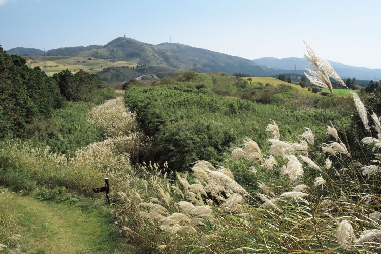 十二丁園地の森を抜けると展望の開けた海ノ平へ出る。中央の山が鞍掛山だ。右手の奥は十国峠になる。