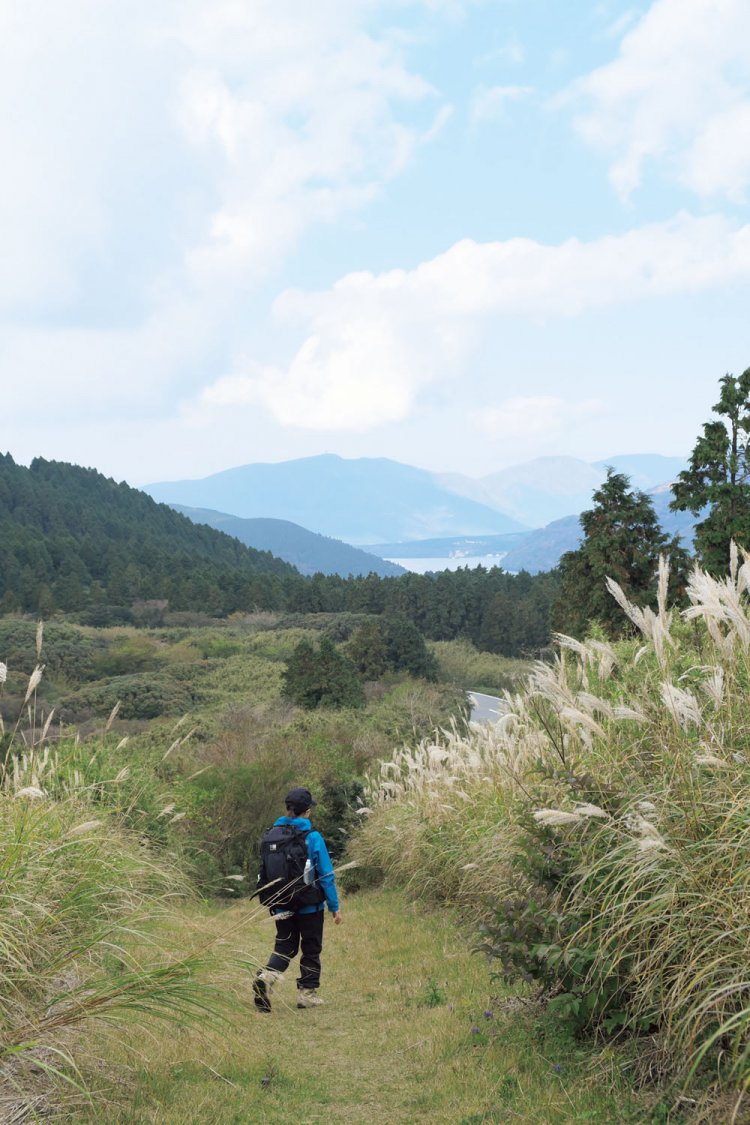 海ノ平の先の風景。気持ちのいい尾根歩きに。前方に芦ノ湖が見えている。この先でスカイラインに合流。