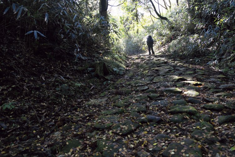旧東海道の石畳が400mほど残っている。