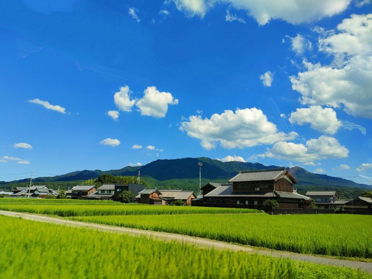 夏休みの思い出。函館のおばあちゃんちで、私は曖昧に笑ってばかりいた