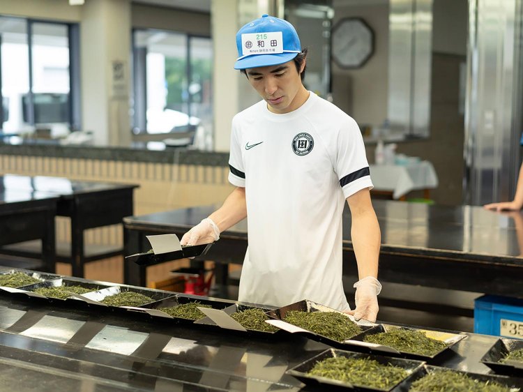 茶葉の状態を確かめる和田さん。取材に訪れたのは2番茶の終盤。