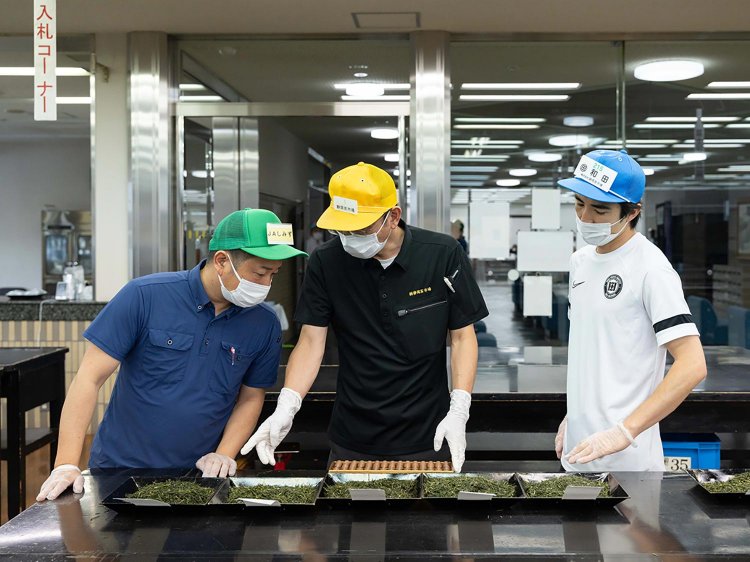 【Re:leaf Record】茶市場を知る②