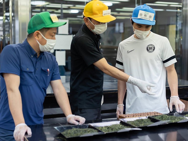 【Re:leaf Record】茶市場を知る②