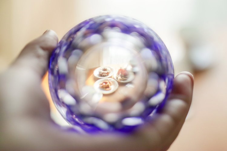 【カメラガールズ】おうちフォトを楽しむ撮影アイデア