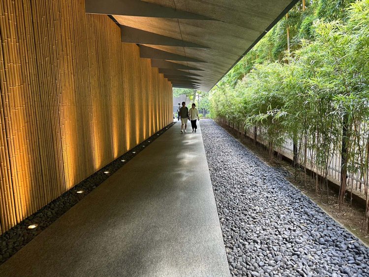 竹_さんたつ根津美術館_230822_35