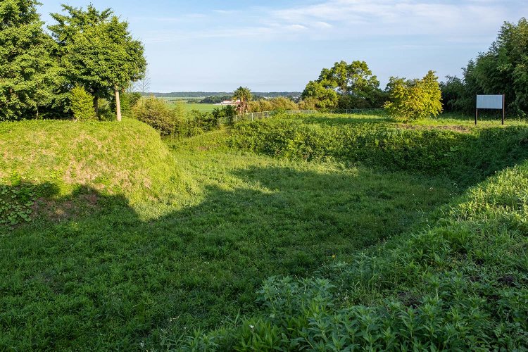 明瞭に窪みが残る多古城跡の空堀。