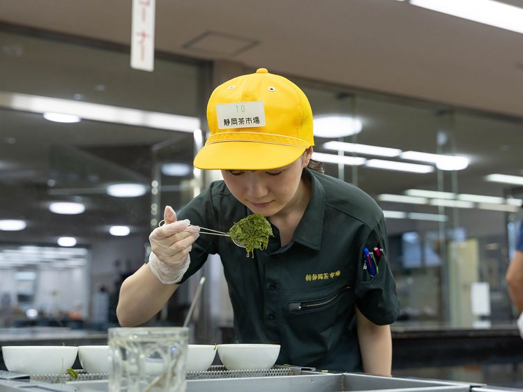 【Re:leaf Record】茶市場を知る③