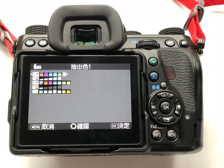 【カメラガールズ】「パートカラー」で写真を アートな雰囲気に！