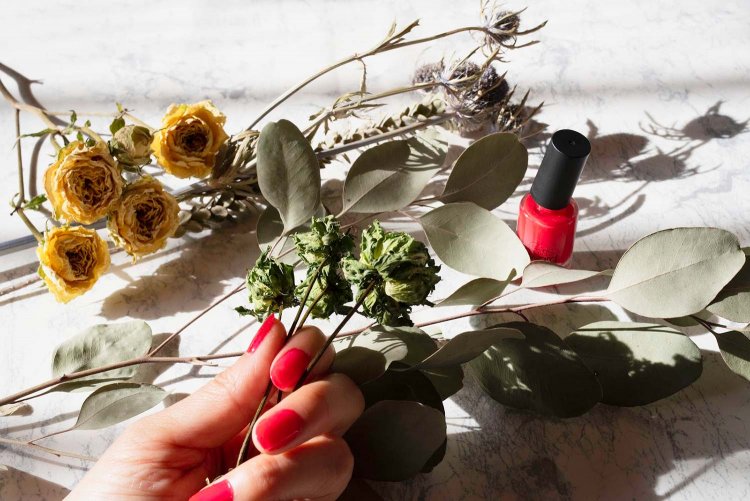 【カメラガールズ】「パートカラー」で写真を アートな雰囲気に！