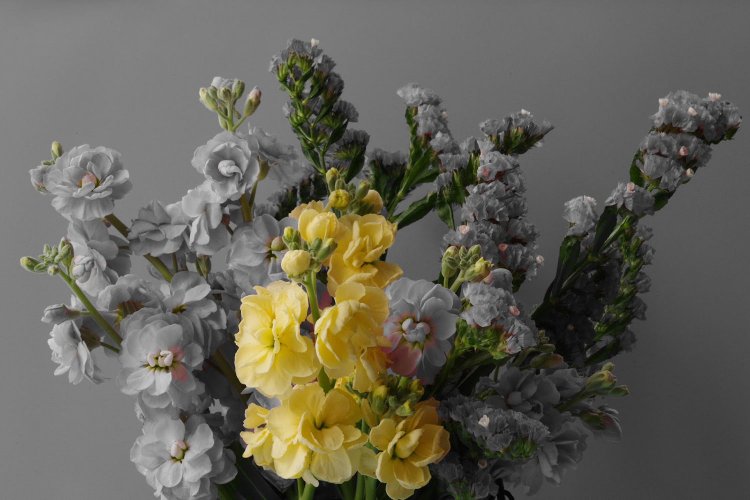 【カメラガールズ】「パートカラー」で写真を アートな雰囲気に！