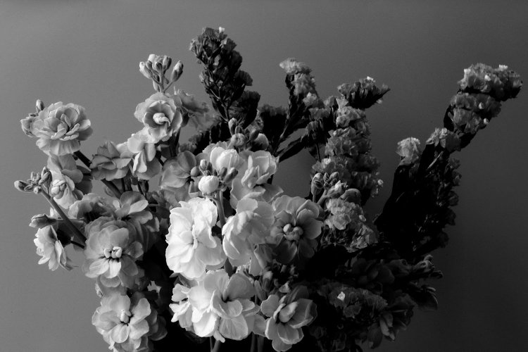 【カメラガールズ】「パートカラー」で写真を アートな雰囲気に！