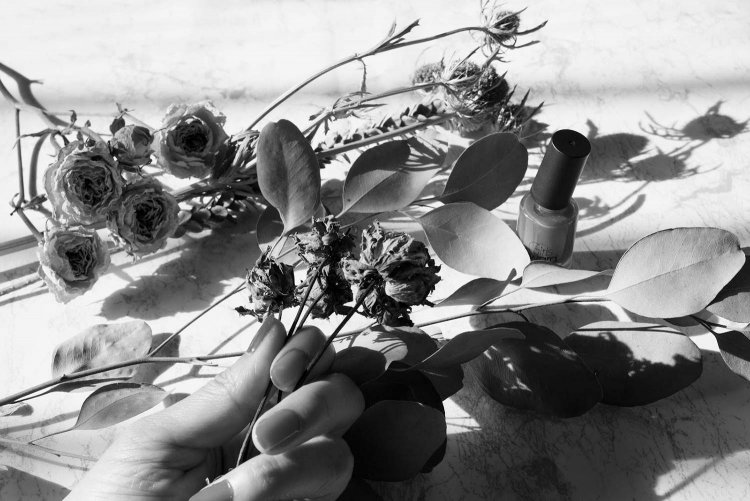 【カメラガールズ】「パートカラー」で写真を アートな雰囲気に！