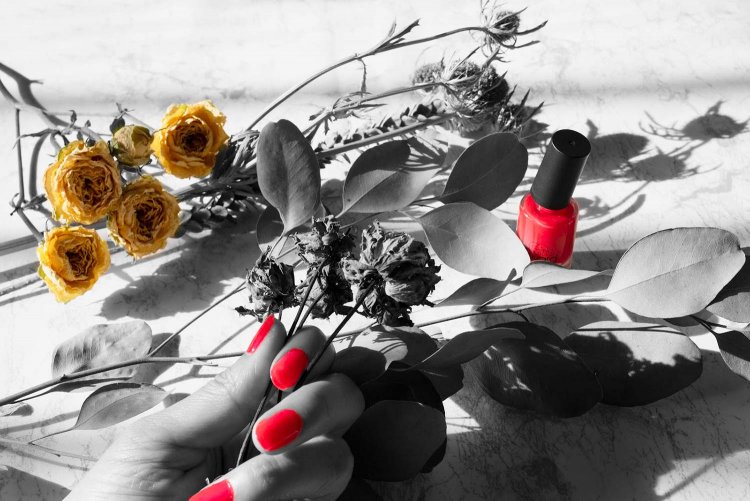 【カメラガールズ】「パートカラー」で写真を アートな雰囲気に！