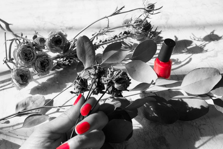 【カメラガールズ】「パートカラー」で写真を アートな雰囲気に！