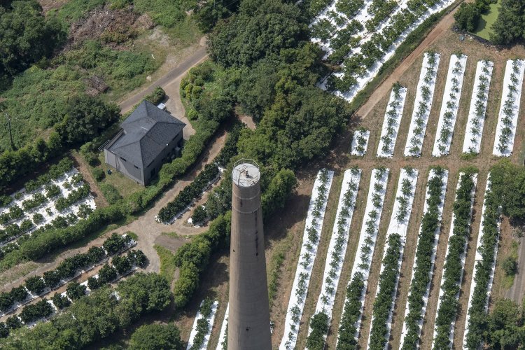 ３号塔の上部を見る。戦後しばらくまではこの上部に鉄骨の櫓があったが、いまはシンプルなてっぺんである。よく見ると航空障害灯の点検口があって、係員が検査のために使用する。