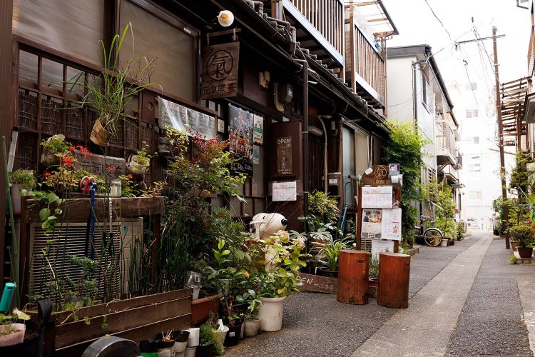 密林のような植栽とメダカの水鉢がひしめき、路地の前は自然豊か。