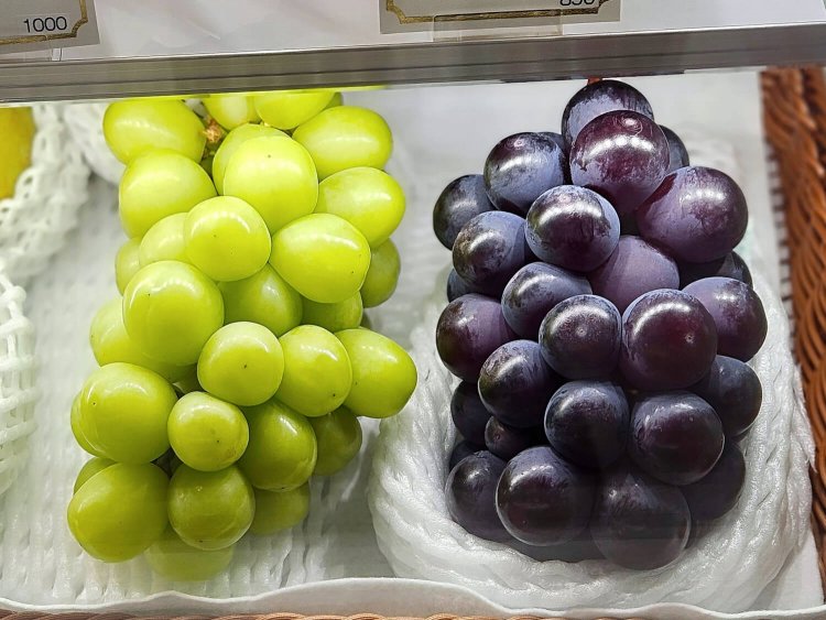 Fruit Chef The Shop9