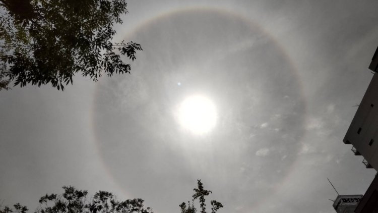 ハロは季節を問わず見られる。太陽を直視すると目を傷めるため、建物や手で太陽を隠して見上げて。