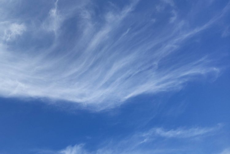 秋の雲は薄く横へと広がっていく。