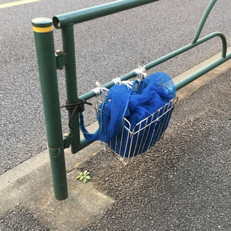 自転車のかごがネットの収納場所に。