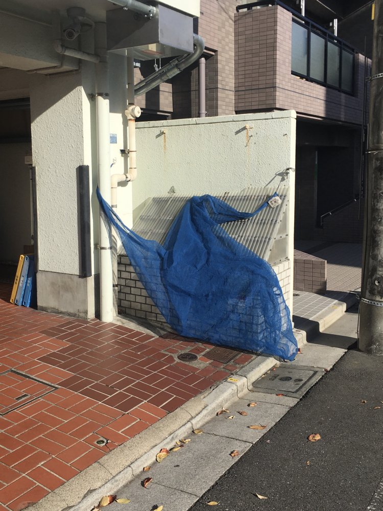 次に見たときには違う姿になっているのだろう。