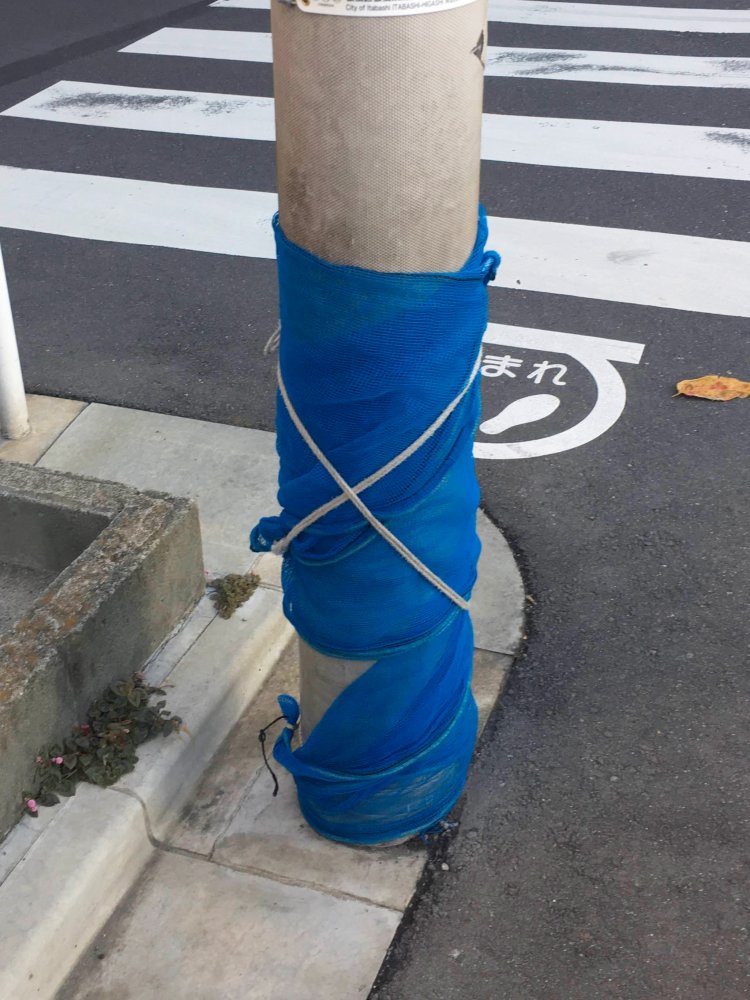 巻いているところを見てみたくなる、結び型。