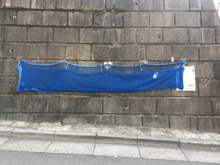 塀にぴっちり広げて止められたタイプ。