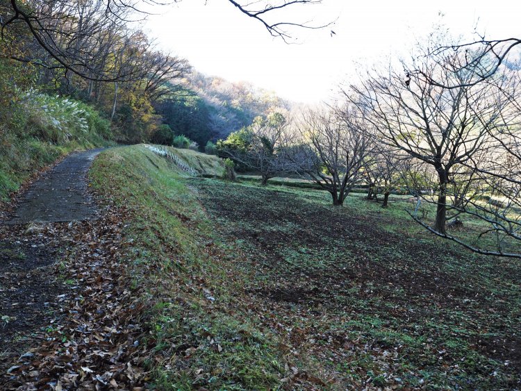 何体もある馬頭観音の先あたりが、この矢倉沢往還の核心部かと思う。道は簡易舗装がされているが、雰囲気は江戸時代といっていいのでは。