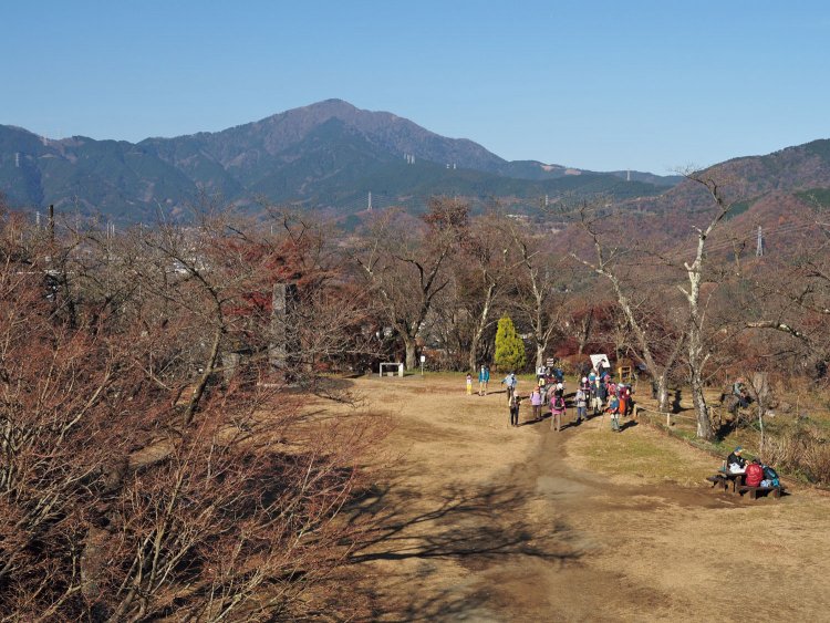 権現山山頂は大きな広場になっている。展望台から丹沢のシンボル、大山方面を望む。