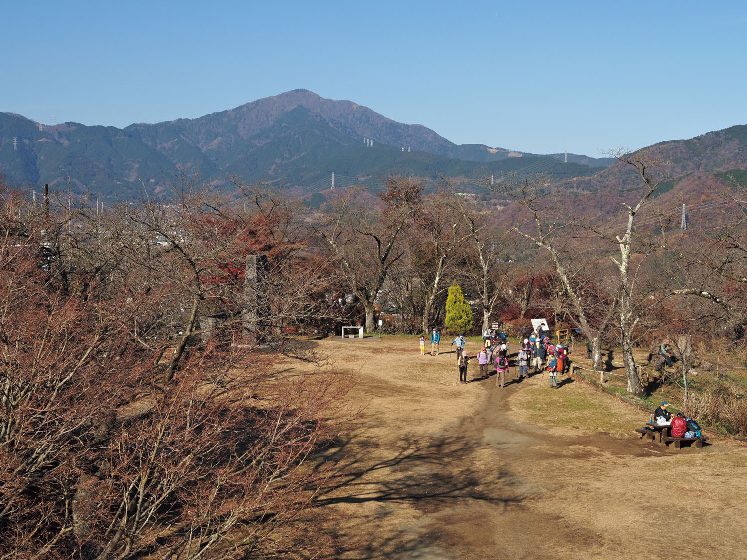 権現山山頂は大きな広場になっている。展望台から丹沢のシンボル、大山方面を望む。