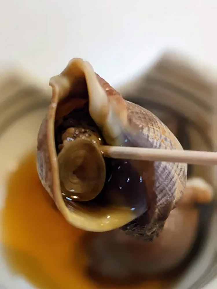 【酒場ナビ】秋田「北洲」