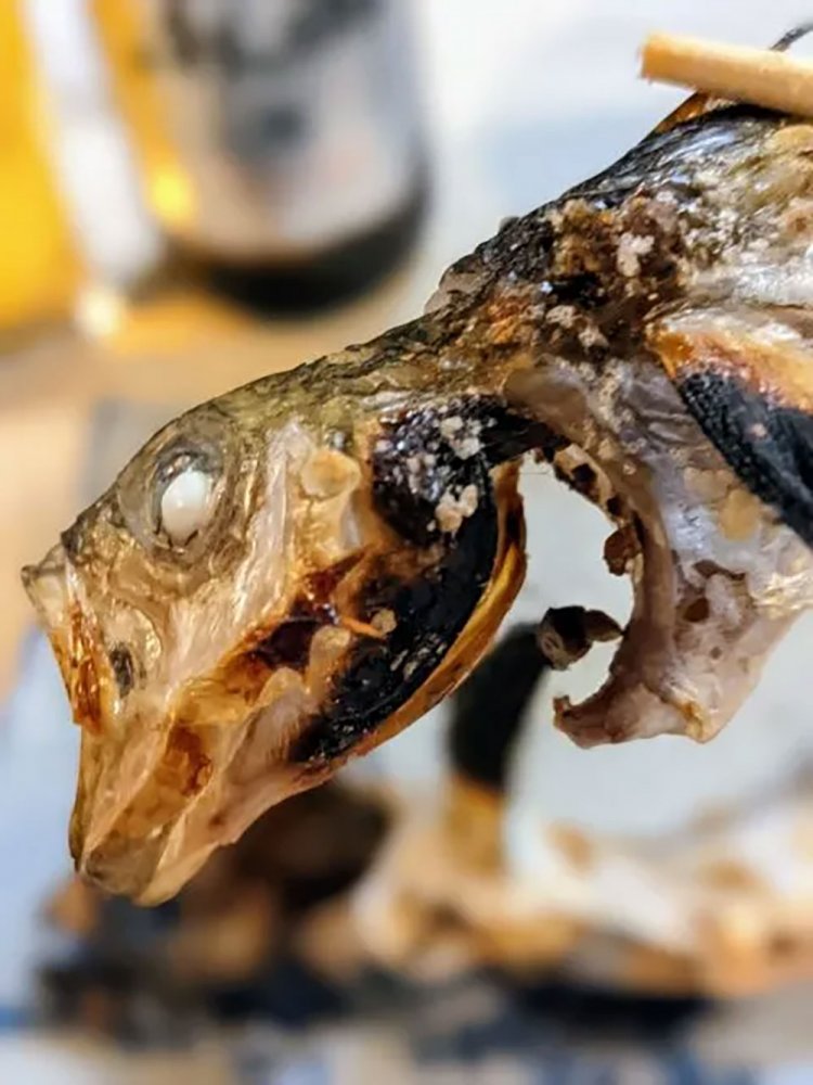 【酒場ナビ】秋田「北洲」