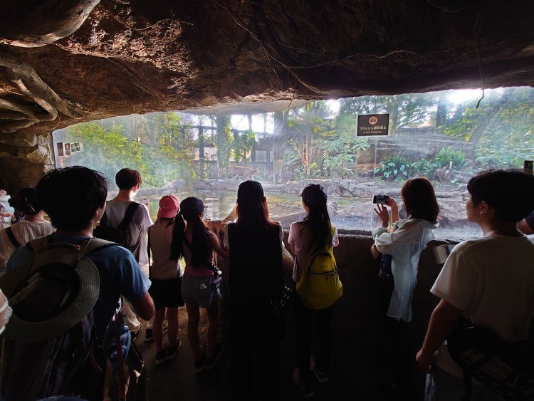 上野動物園はスマトラトラも子供たちに人気。