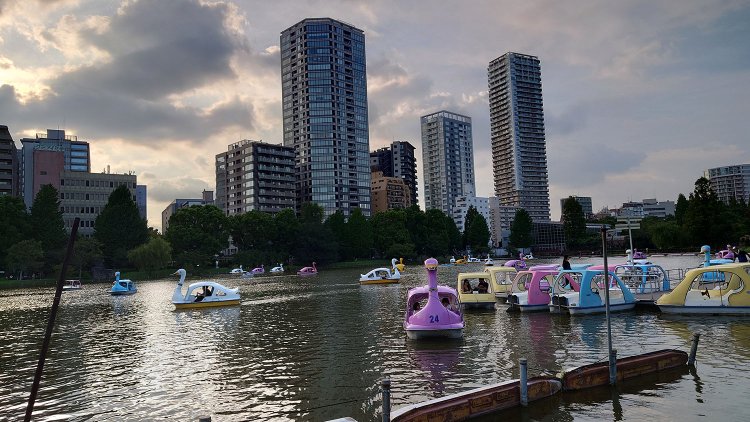 スワンが微笑ましいボート池。