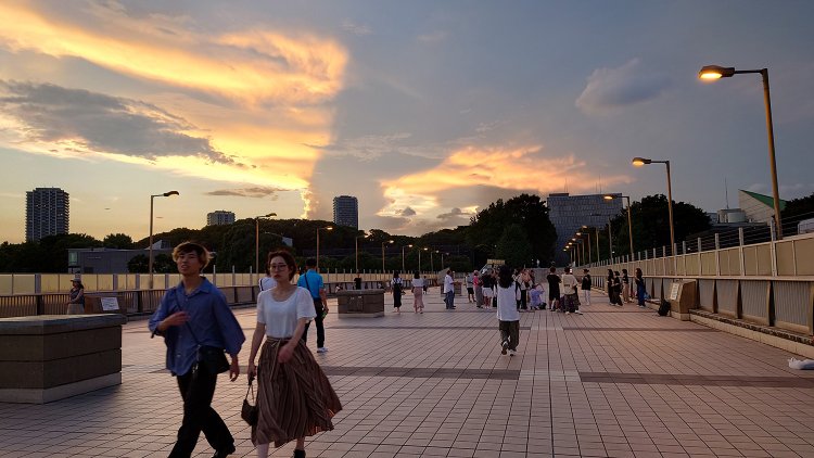 公園口（駅西側）とペデストリアンデッキ（駅東側）を結ぶパンダ橋。