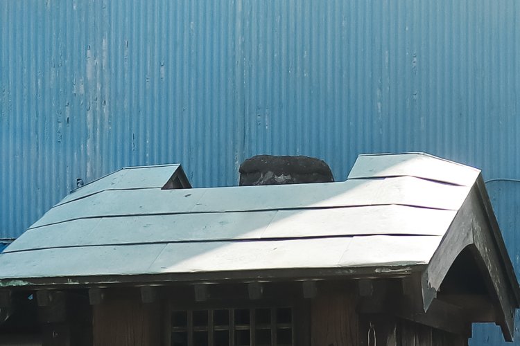 鋭い眼をしたご尊顔。