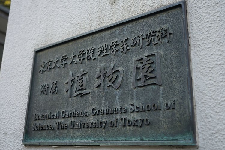 正式名称は東京大学院理学系研究家附属植物園。