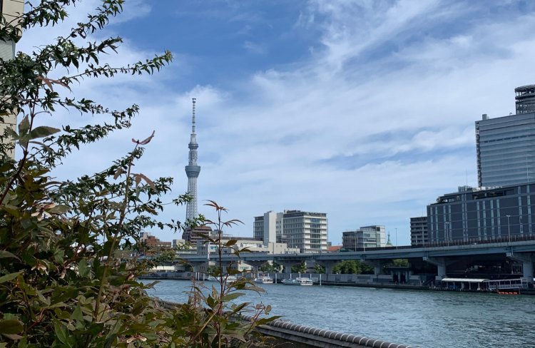 テラスからは東京スカイツリーが望める。