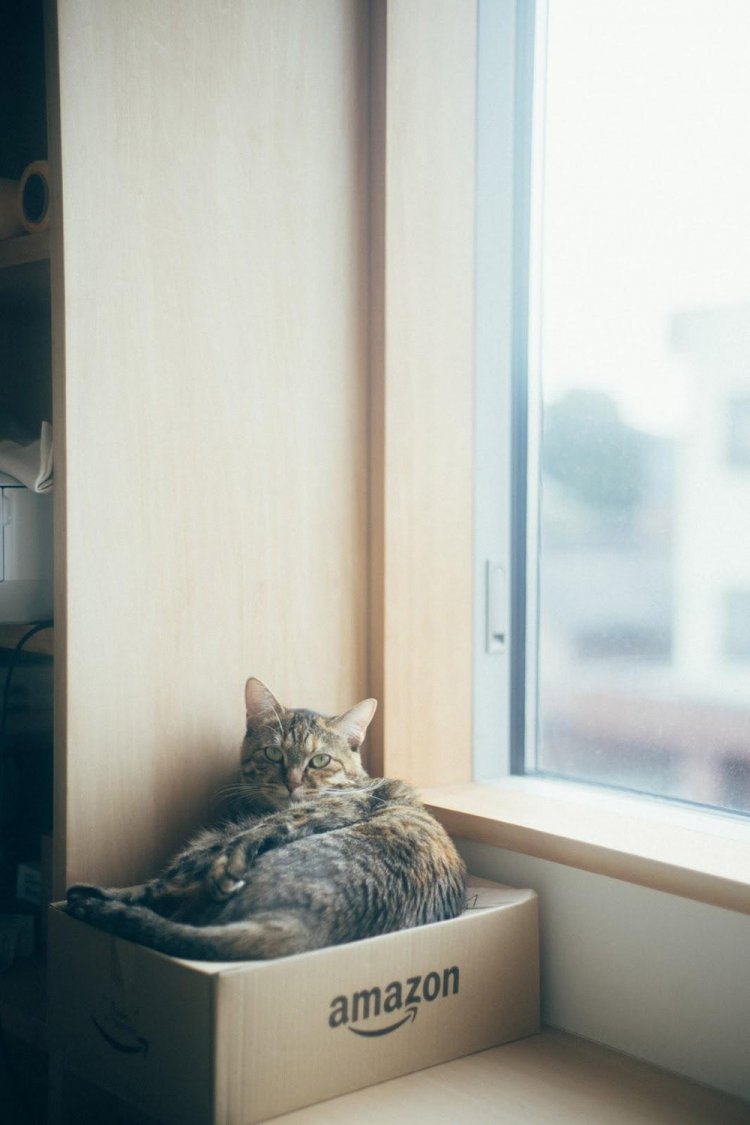 SONY α7RⅢ＋CONTAX Carl Zeiss PlanarT* 50mm F1.4で撮影。