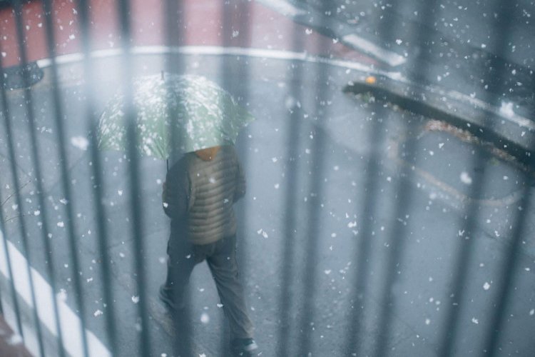 SONY α7RⅢ＋CONTAX Carl Zeiss PlanarT* 50mm F1.4で撮影。